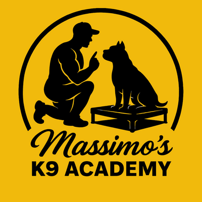 Obedience Immersion 2 week