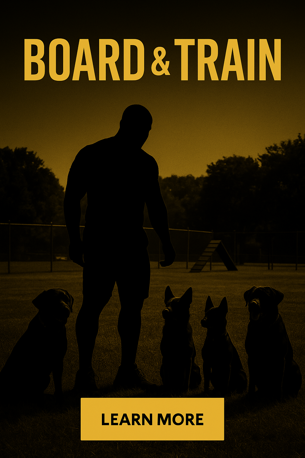 Board and Train Services