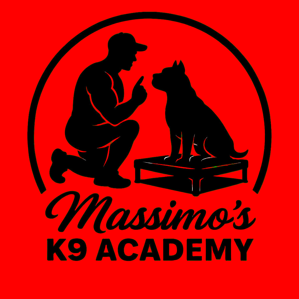 Private Lesson- 60min