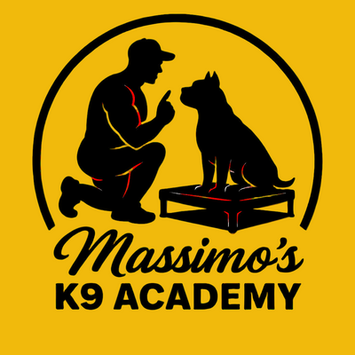 Puppy Foundation Camp