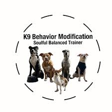 Behavioral Transformation- 4 Weeks